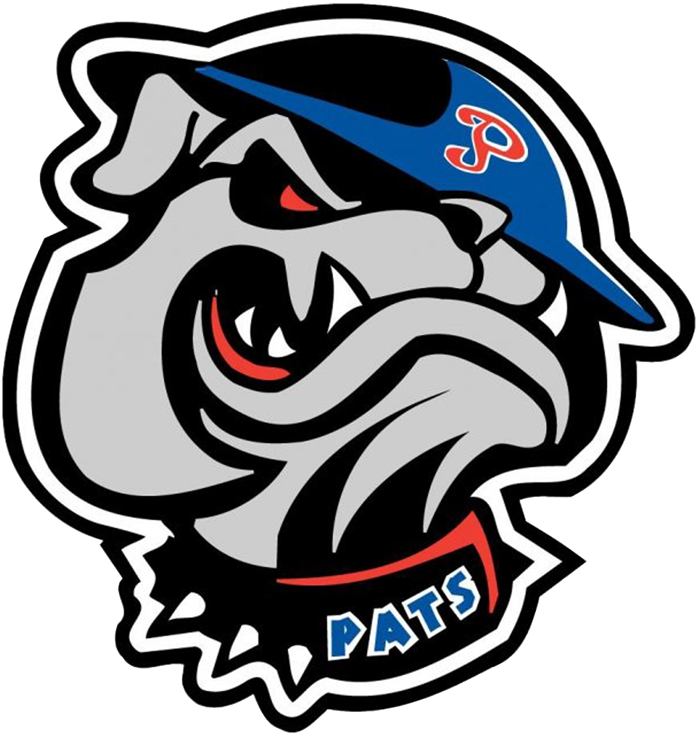 Regina Pats 2002-Pres Alternate Logo iron on transfers for T-shirts